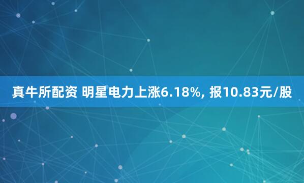 真牛所配资 明星电力上涨6.18%, 报10.83元/股