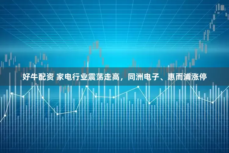 好牛配资 家电行业震荡走高，同洲电子、惠而浦涨停