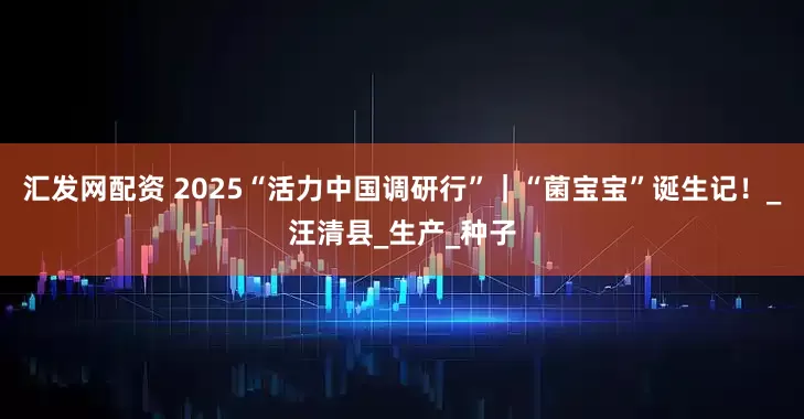 汇发网配资 2025“活力中国调研行”｜“菌宝宝”诞生记！_汪清县_生产_种子