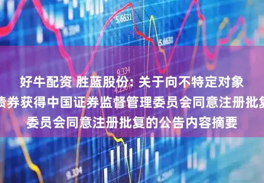 好牛配资 胜蓝股份: 关于向不特定对象发行可转换公司债券获得中国证券监督管理委员会同意注册批复的公告内容摘要