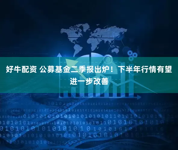 好牛配资 公募基金二季报出炉！下半年行情有望进一步改善
