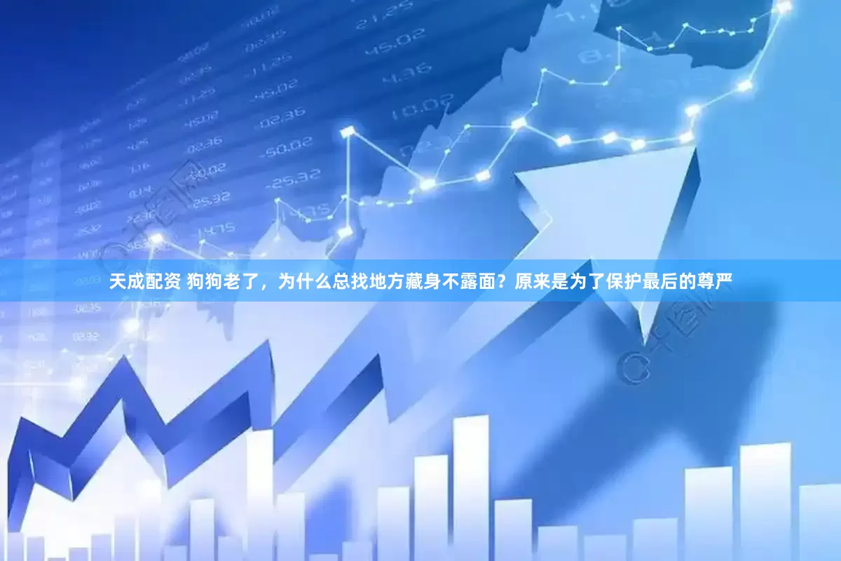 天成配资 狗狗老了，为什么总找地方藏身不露面？原来是为了保护最后的尊严