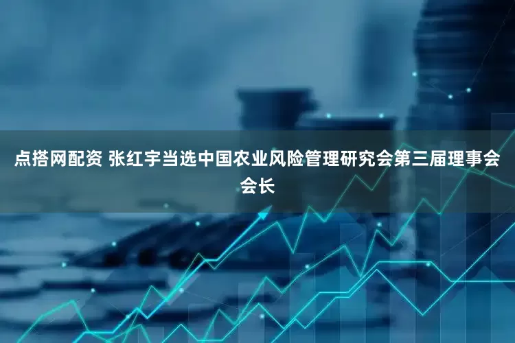 点搭网配资 张红宇当选中国农业风险管理研究会第三届理事会会长