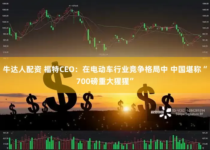 牛达人配资 福特CEO：在电动车行业竞争格局中 中国堪称“700磅重大猩猩”