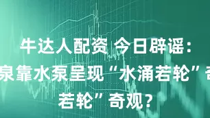 牛达人配资 今日辟谣：趵突泉靠水泵呈现“水涌若轮”奇观？