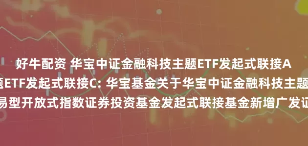 好牛配资 华宝中证金融科技主题ETF发起式联接A,华宝中证金融科技主题ETF发起式联接C: 华宝基金关于华宝中证金融科技主题交易型开放式指数证券投资基金发起式联接基金新增广发证券股份有限公司为代销机构的公告