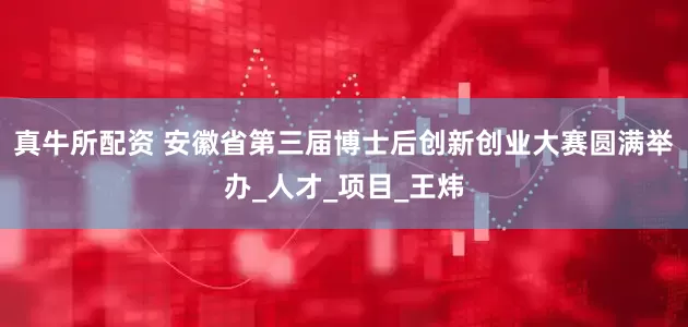 真牛所配资 安徽省第三届博士后创新创业大赛圆满举办_人才_项目_王炜