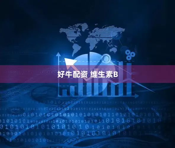 好牛配资 维生素B