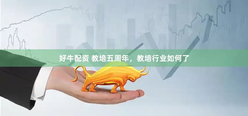 好牛配资 教培五周年，教培行业如何了