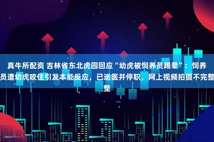 真牛所配资 吉林省东北虎园回应“幼虎被饲养员踢晕”：饲养员遭幼虎咬住引发本能反应，已送医并停职，网上视频拍摄不完整
